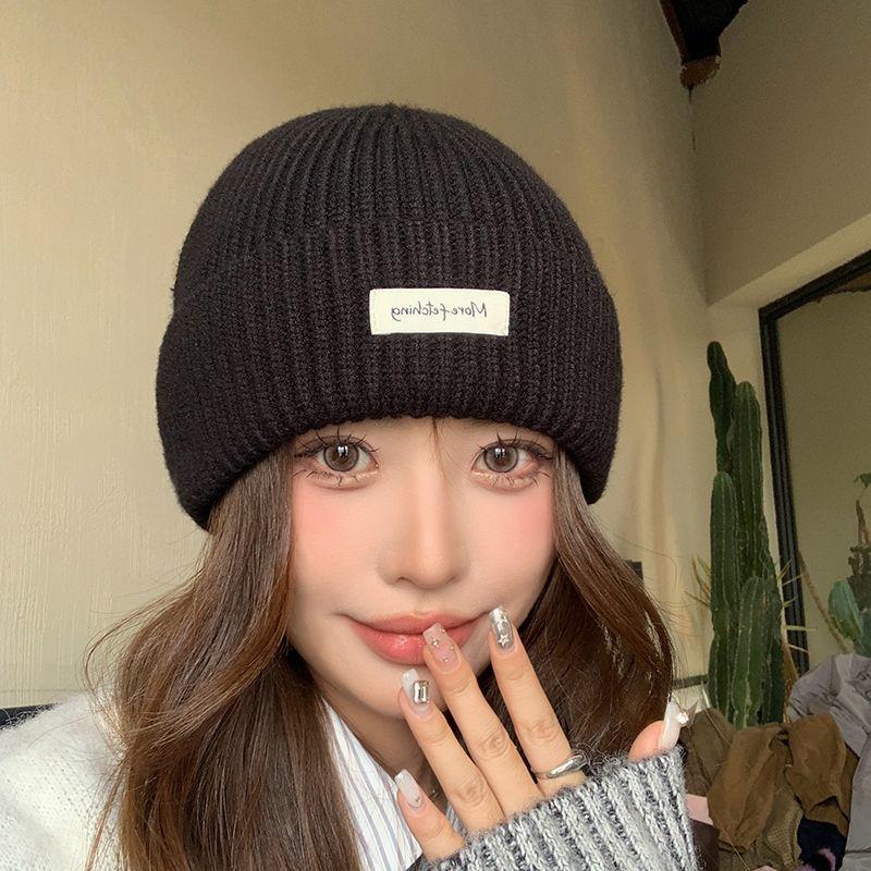 Beanie Cuffed Knit - Winter Beanie Hat Label Patch Ribbed